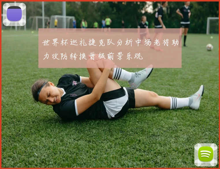 世界杯巡礼捷克队分析中场老将助力攻防转换晋级前景乐观